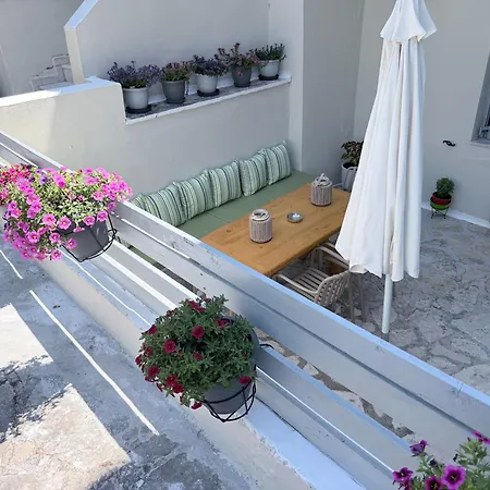 Pansion Margarita